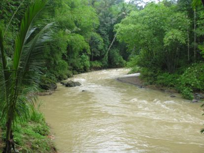 Sungai Meredam Pemanasan Global  Jagalah Lingkungan Kita
